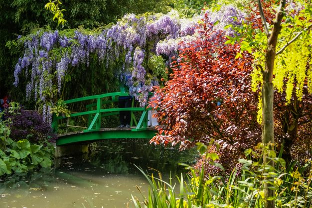 journée4 - MANTES-LA-JOLIE - Giverny - PARIS