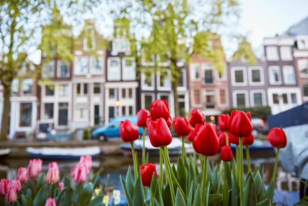 journée1 - BRUXELLES - AMSTERDAM