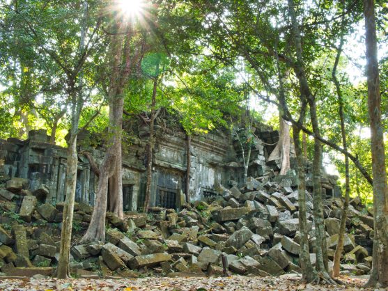 journée11 - Siem Reap - Temples d'Angkor