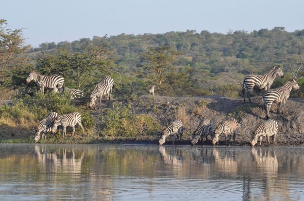 journée10 - LAKE MBURO NATIONAL PARK – KAMPALA