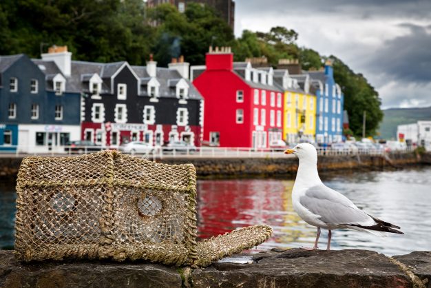 journée6 - Navigation dans le détroit du Mull > Fort William