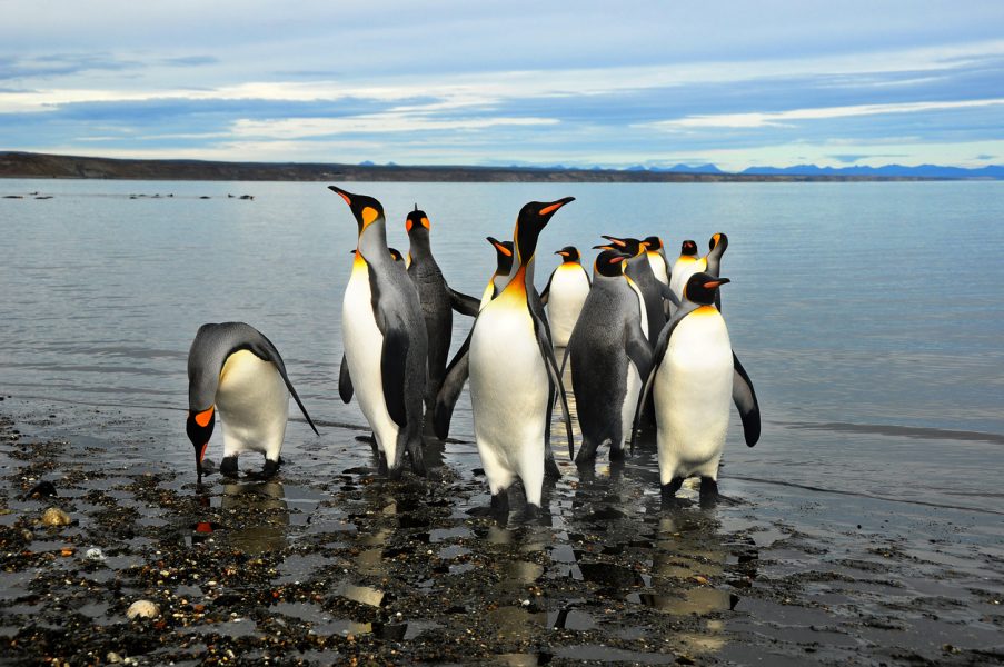 Argentine, Du Noroeste andino aux grands espaces de la Patagonie