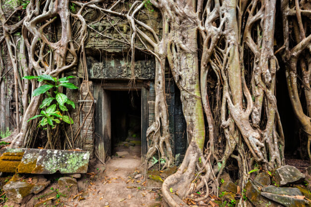 journée3 - SIEM REAP - Temples d'Angkor