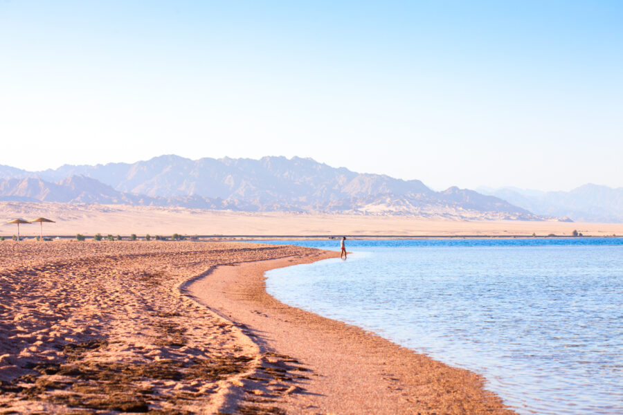 Les trésors de la mer Rouge entre Egypte et Jordanie, l'œuvre de l'Homme et de la Nature