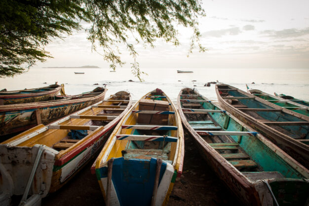 journée4 - BROUSSE, ILES ET BOLONGS DU SALOUM