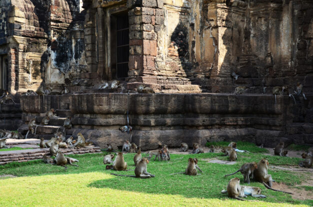 journée6 - KHORAT – LOPBURI – UTHAI THANI