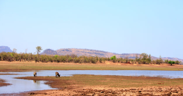 journée8 - BATEAU : Lac Kariba - Parc National de Matusadona (Zimbabwe)
