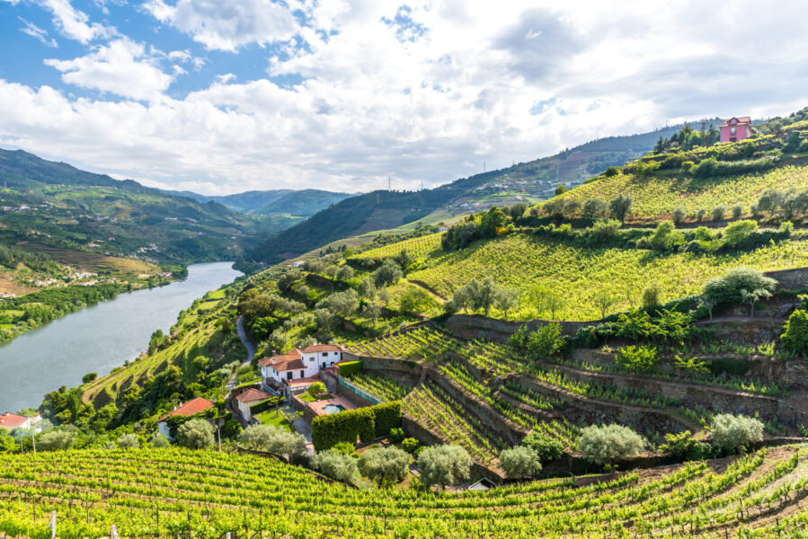 De Porto vers l'Espagne, la vallée du Douro et Salamanque - extension optionnelle à Lisbonne