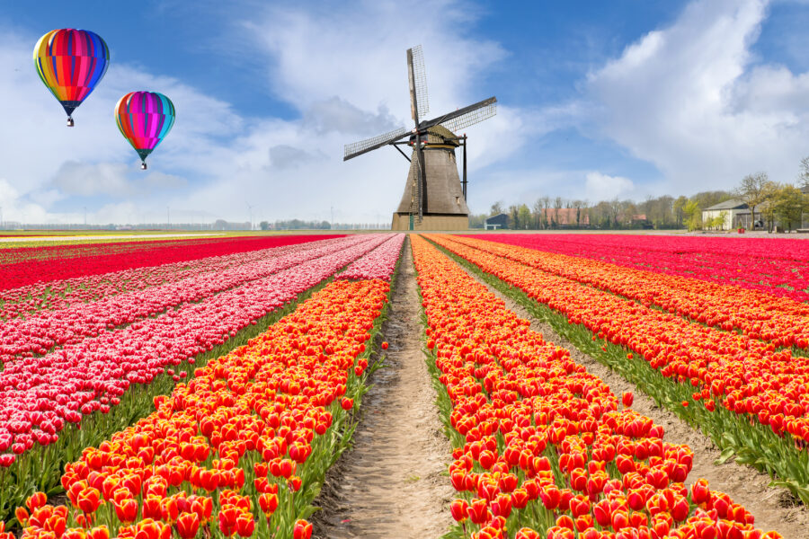 La Hollande, art et jardin