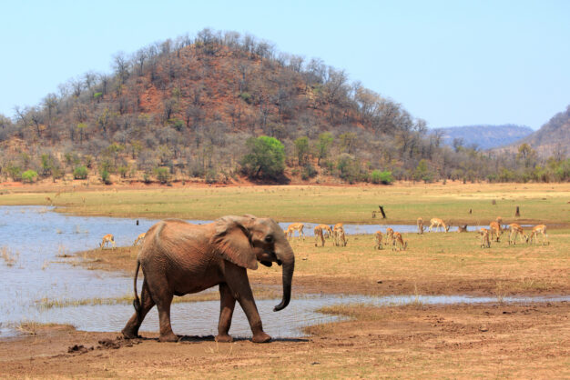 journée8 - BATEAU : Lac Kariba - Parc National de Matusadona (Zimbabwe)