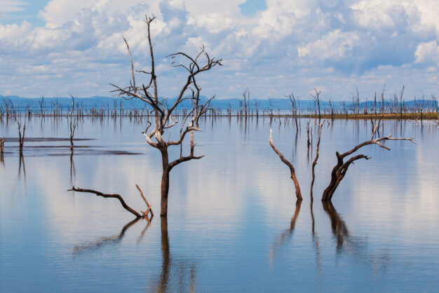 journée7 - BATEAU : Lac Kariba - Navigation jusqu'à Spurwing Island (Zimbabwe)