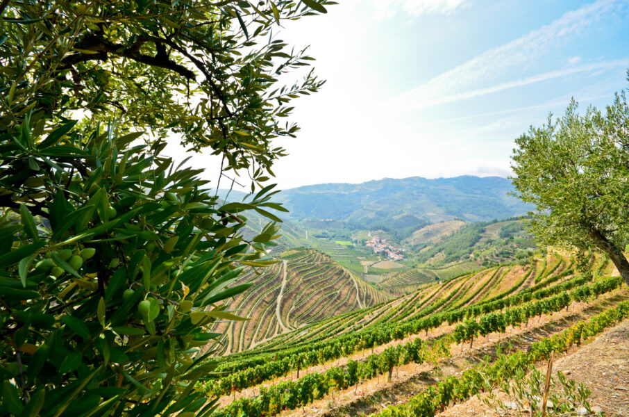De Porto vers l'Espagne, la vallée du Douro (Portugal) et Salamanque (Espagne)