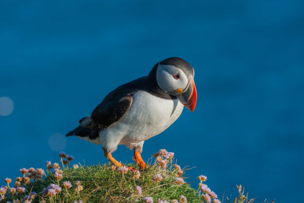 journée7 - EGILSSTAÐIR - HNAPPAVELLIR