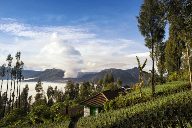 journée6 - JOGJAKARTA > SURABAYA - MONT BROMO