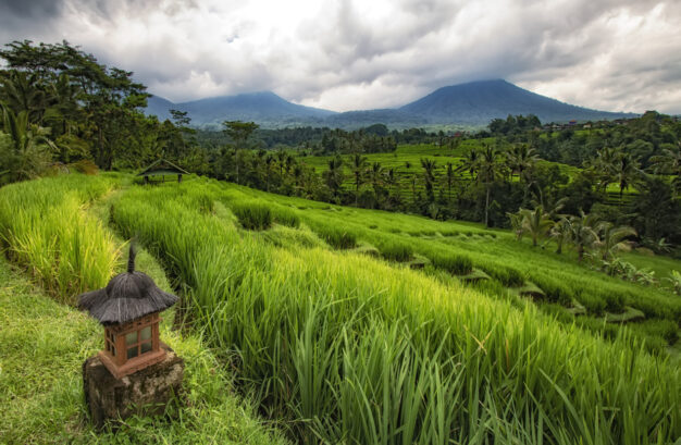 journée15 - UBUD – TABANAN - KRAMBITAN – JIMBARAN