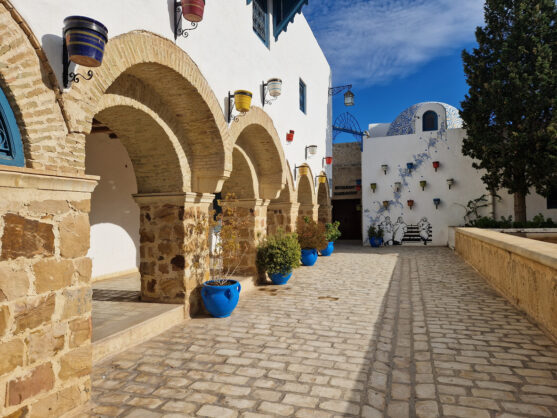 journée2 - HAMMAMET – BARDO – HAMMAMET
