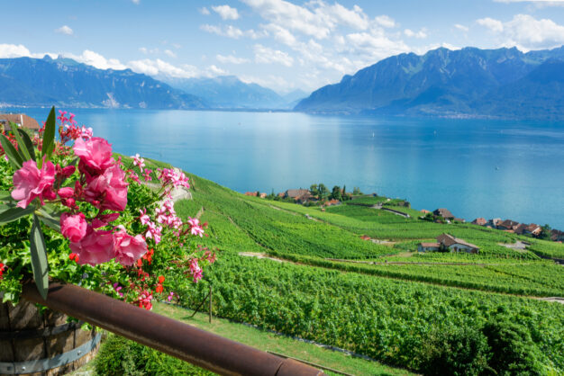 journée6 - ROUGEMONT - MONTREUX - LAUSANNE