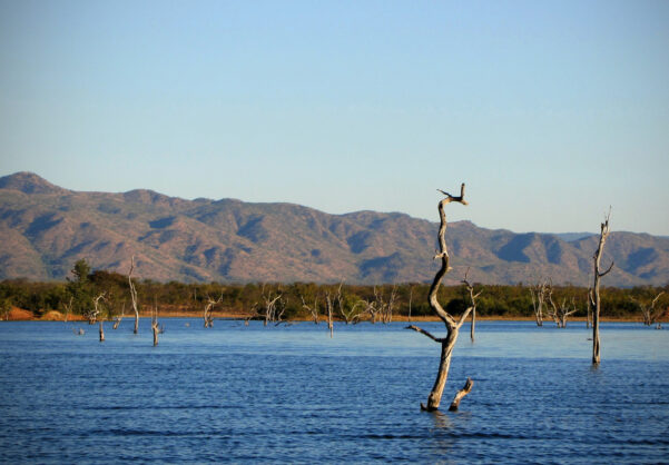 journée6 - Lodge - Kasane - Lac Kariba - Installation à bord (Namibie- Botswana-Zimbabwe)