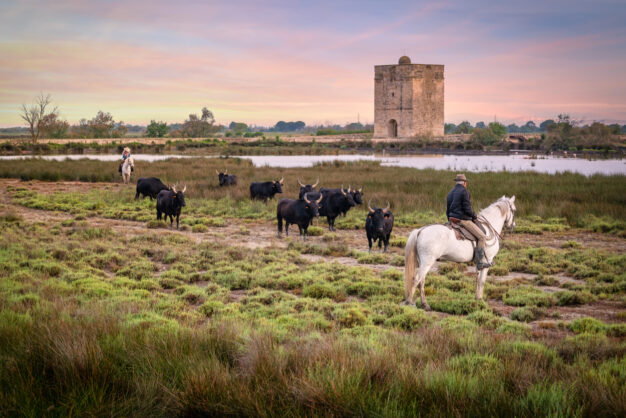 journée6 - Arles - La Camargue - Martigues