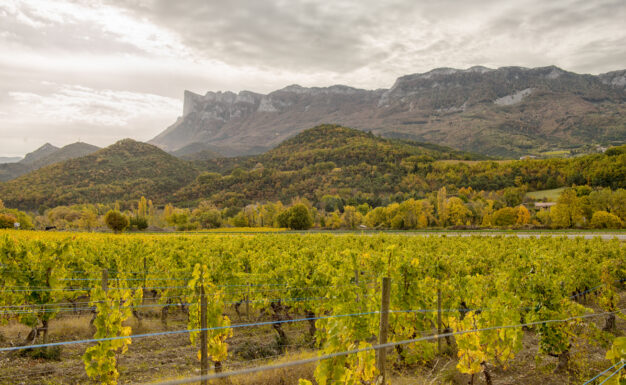 journée4 - Tain L'Hermitage - Le Vercors - Avignon