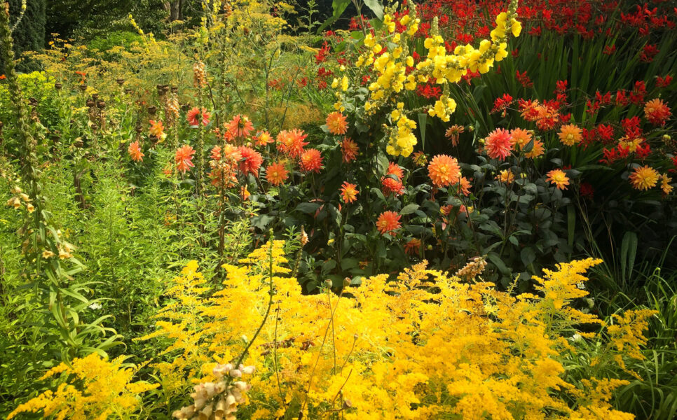 Les jardins du Kent