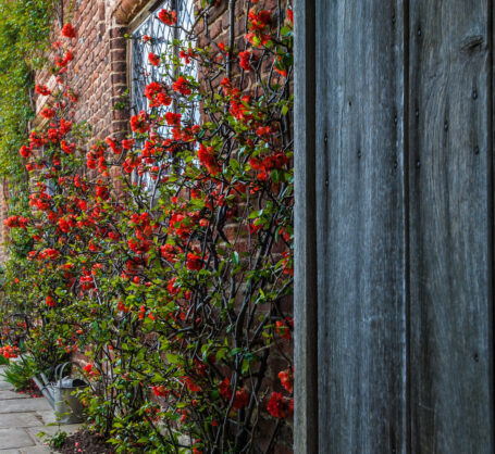 journée3 - CHÂTEAU DE SISSINGHURST & MAISON DE GREAT DIXTER