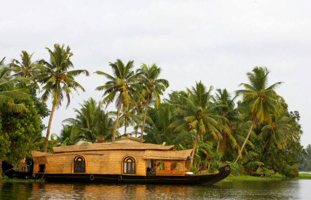 journée9 - Periyar – Allepey – Croisière