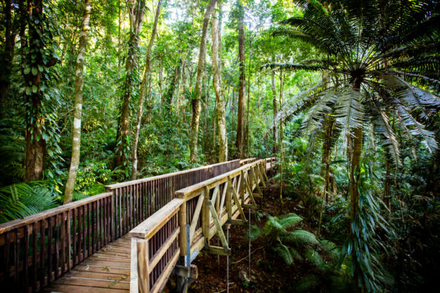 journée21 - CAIRNS - MOSSMAN - PORT DOUGLAS