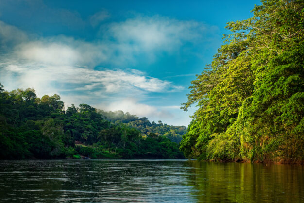 journée5 - Boca Tapada, navigation sur le Rio San Carlos (frontière avec le Nicaragua)