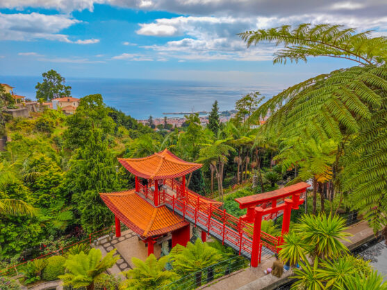 journée2 - FUNCHAL