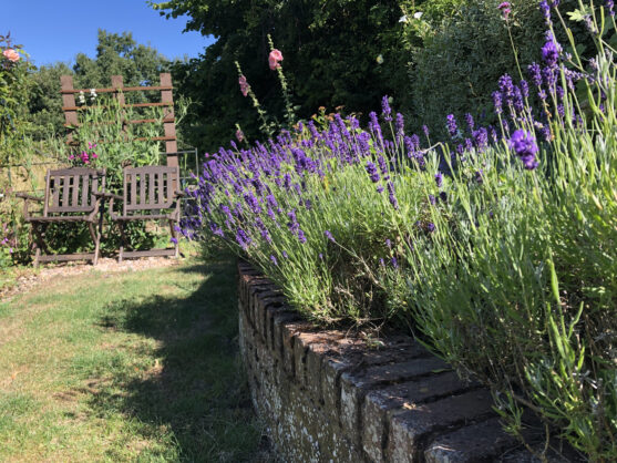 journée2 - JARDINS DE HIDCOTE & CATHÉDRALE DE GLOUCESTER