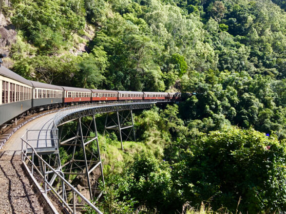 journée20 - CAIRNS - KURANDA - CAIRNS