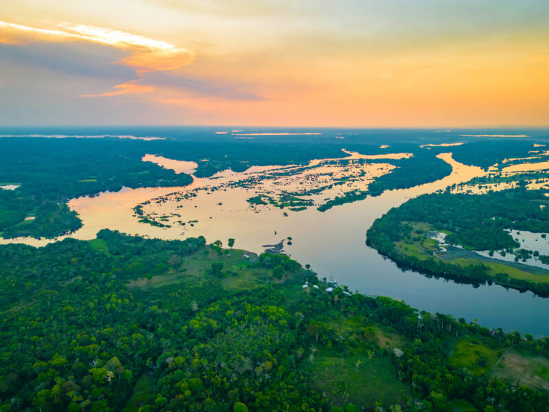 Amazonie Brésil – Croisière sur le Rio Negro