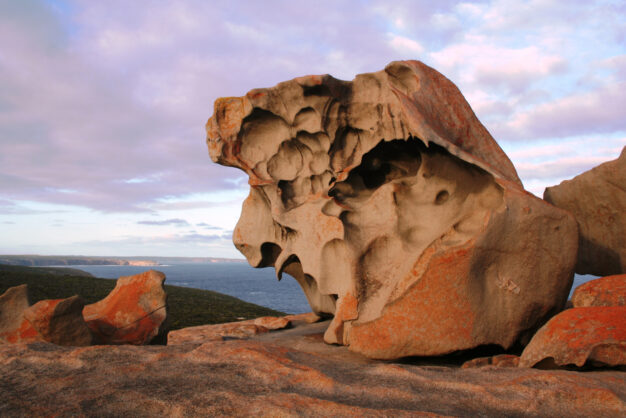 journée9 - KANGAROO ISLAND – ADELAÏDE