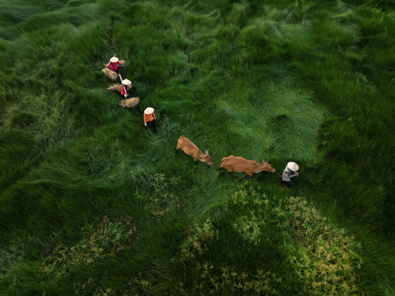 Vietnam, du Nord au Sud