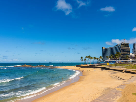 journée13 - IGUAÇU > SAO PAULO - SALVADOR DE BAHIA