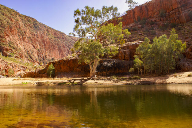 journée15 - ALICE SPRINGS -WEST MACDONNELL RANGES - ALICE SPRINGS