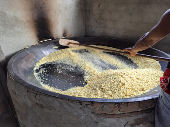 journée8 - PONTA GRANDE - VILLAGE DA COROCA