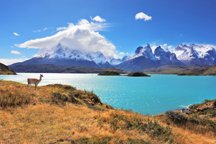 Croisière en Patagonie - Terre de feu, Santiago et Buenos Aires