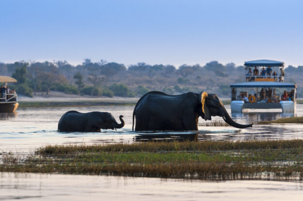 journée4 - LODGE : Parc National de Chobé (Namibie-Botswana)