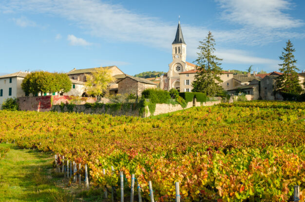 journée4 - Collonges-Au-Mont-D'Or - Mâcon - Le vignoble du Beaujolais - Lyon