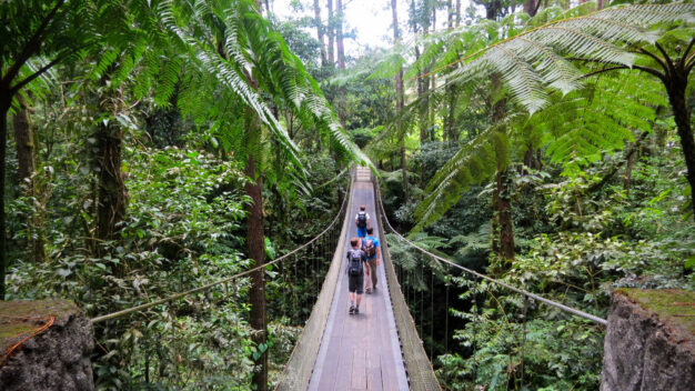 journée9 - Monteverde, réserve de Santa Elena et tour de café