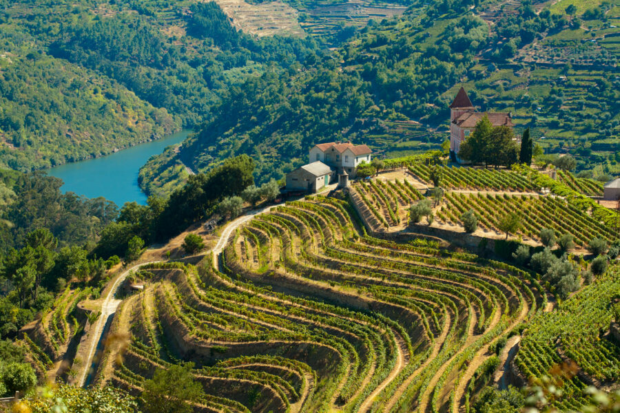 De Porto vers l'Espagne, la vallée du Douro et Salamanque