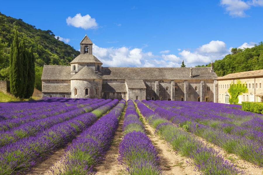Escales incontournables du Rhône entre Lyon, la Camargue et la Provence avec un dîner à l'Abbaye de Collonges - Paul Bocuse