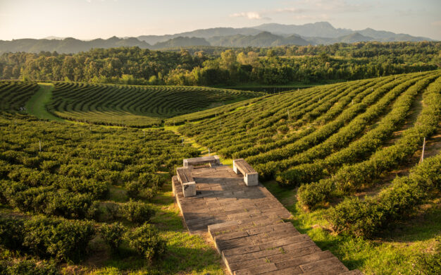journée12 - Chiang Khong > Chiang Rai