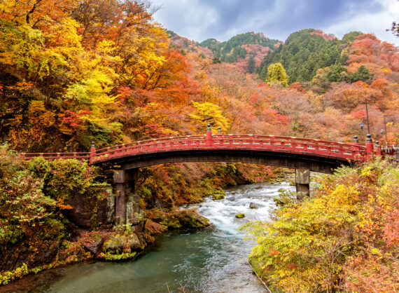 journée3 - TOKYO - NIKKO ( ⽇光 ) - TOKYO