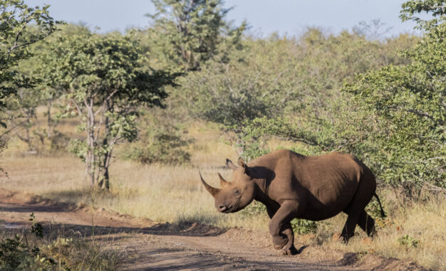 journée14 - BATEAU : KARIBA - Victoria Falls (Zimbabwe)