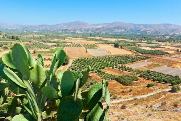 journée5 - Odigitrias - Messara - Kalambaka