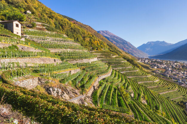 journée3 - LUGANO - TIRANO - SAINT-MORITZ