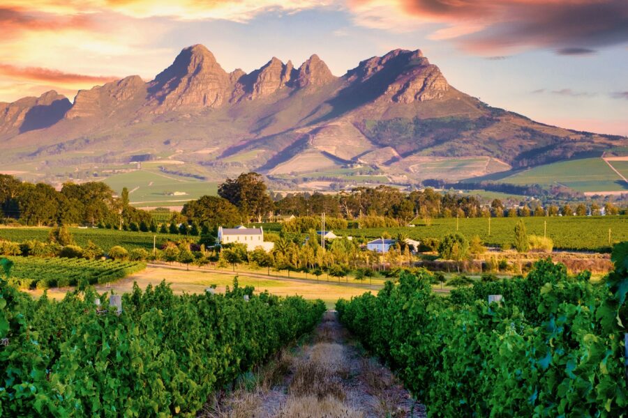 Afrique du Sud, entre rails d’exception et horizons grandioses